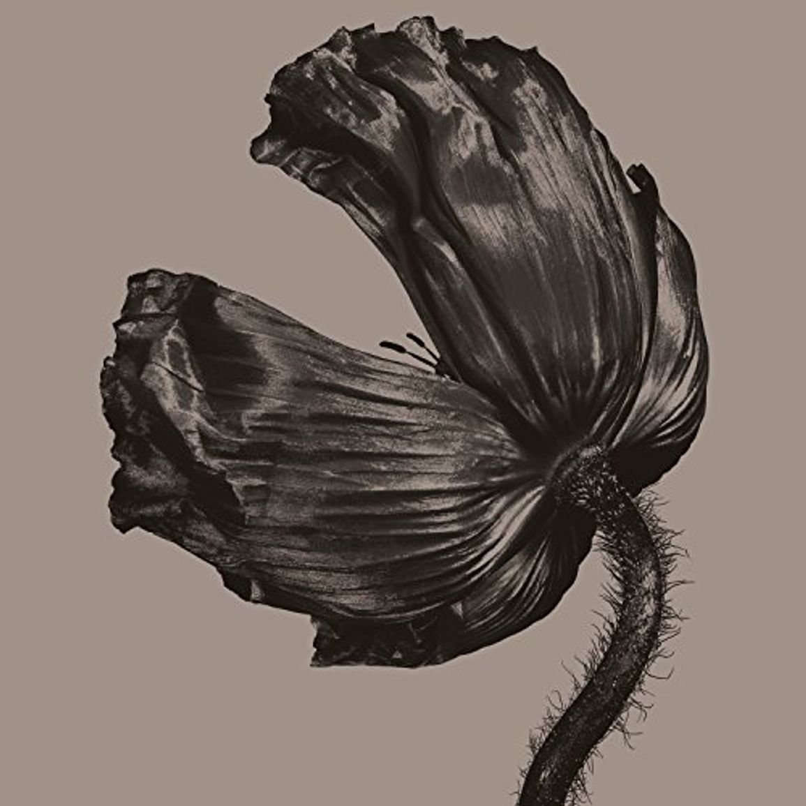 Cover des Pet-Shop-Boys-Albums RELEASE